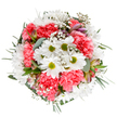 Brimming with colour and texture, this expertly composed bouquet brings a burst of seasonal joy straight from Colindale's local florist scene. At its centre, pure white daisies with green centres radiate promise and innocence. Intermingled, coral-pink carnations weave ruffled softness, reminiscent of sunrise over residential gardens near Colin Park Road. Wisps of cloudlike baby's breath lend an airy, almost ethereal dimension, while sprigs of eucalyptus-soft green and gently aromatic-anchor the bouquet with a modern touch. Tucked discreetly beneath, blush-tipped alstroemeria buds suggest new beginnings still unfolding. Balanced and circular, the whole arrangement captures a feeling of fresh optimism: it feels at home gracing a kitchen table after a delivery from Colindale Flowers, or as a thoughtful gesture to brighten someone's week in NW9. The vivid palette and crisp framing invite joy, gratitude, and the spirit of celebration, skillfully reflecting local expertise and the care that defines neighbourhood floral design.